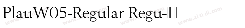 PlauW05-Regular Regu字体转换